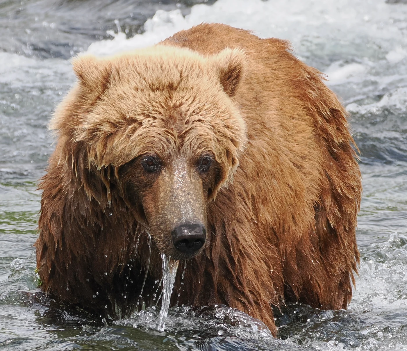Katmai, Alaska